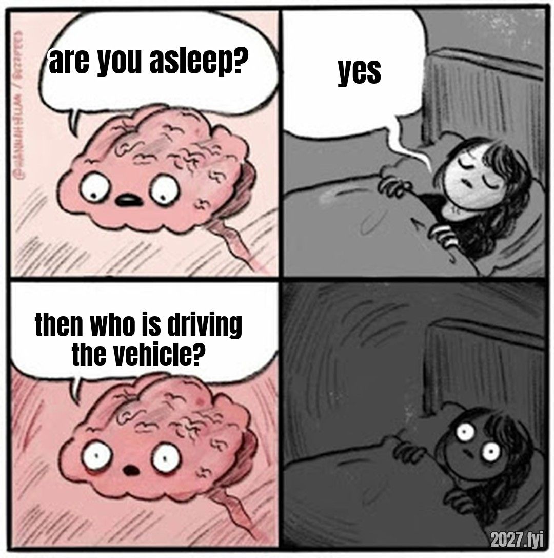 Brain before sleep comic. are you asleep? / yes / then who is driving the vehicle?