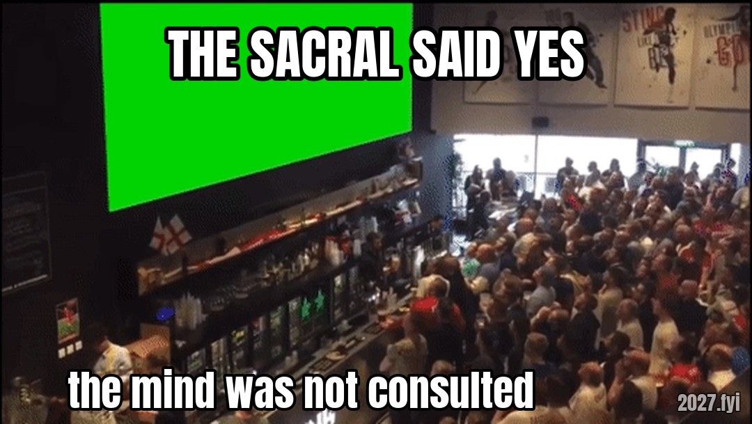 A bar erupting in celebration. THE SACRAL SAID YES / the mind was not consulted