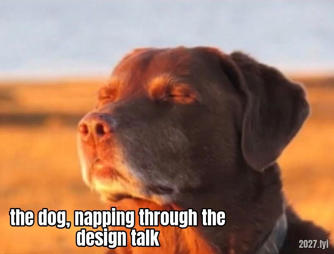 A dark brown dog with closed eyes, calm in warm evening light over a field. Quote above: "You know, I'd love to be able to teach her design. She's a reflector, she needs it." Label: the dog, napping through the design talk