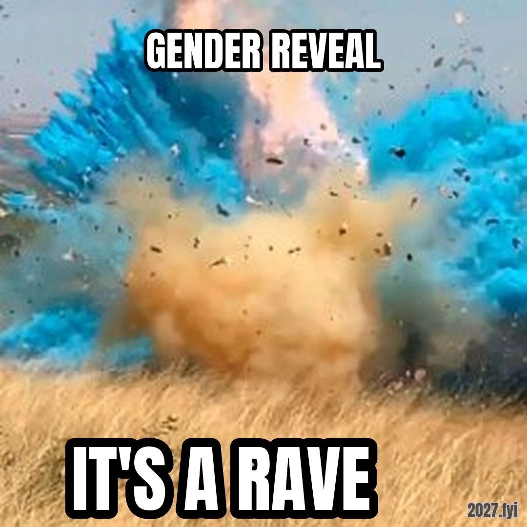 Gender Reveal meme. GENDER REVEAL / IT'S A RAVE