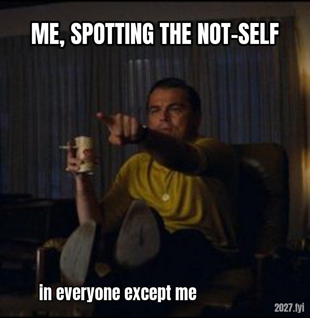 Leonardo DiCaprio Pointing meme. ME, SPOTTING THE NOT-SELF / in everyone except me