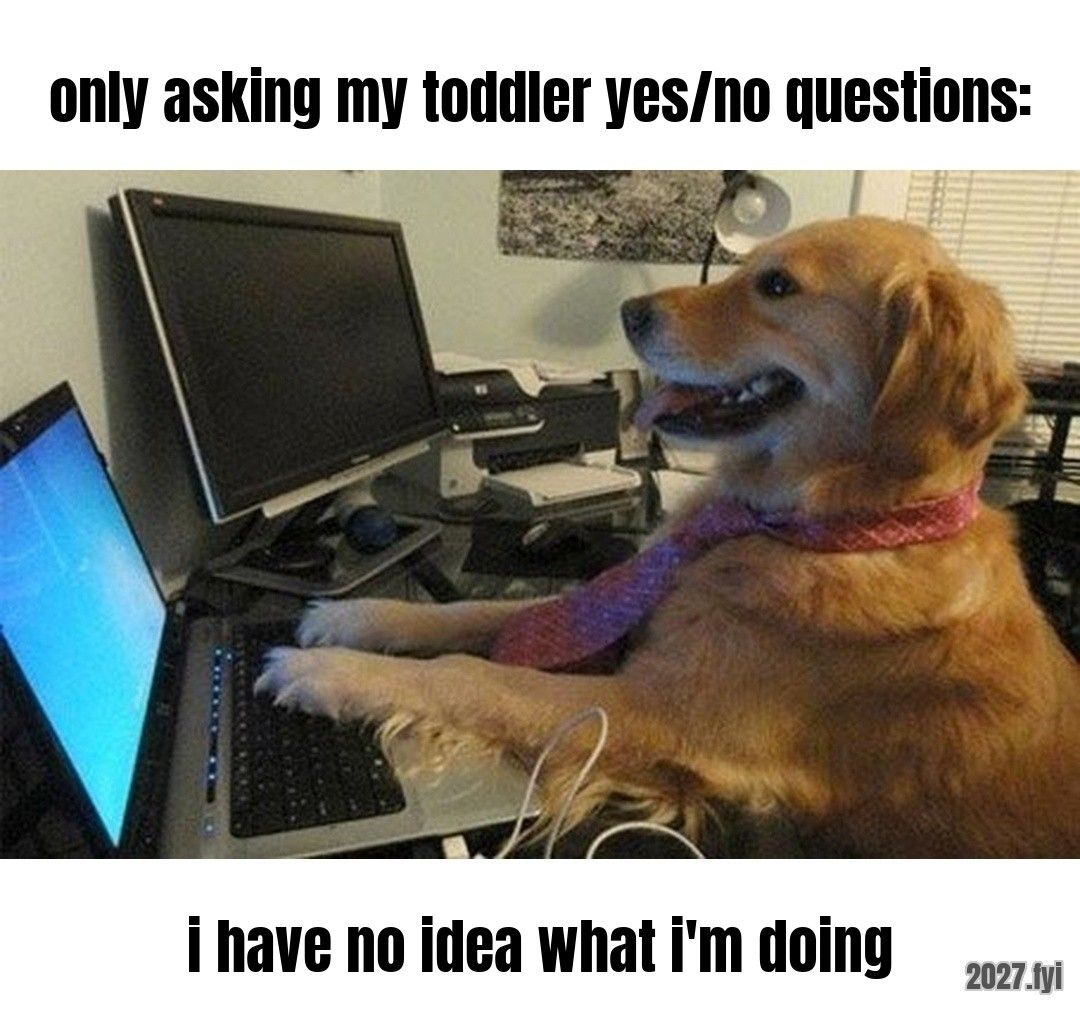 A dog at a computer. only asking my toddler yes/no questions: / i have no idea what i'm doing