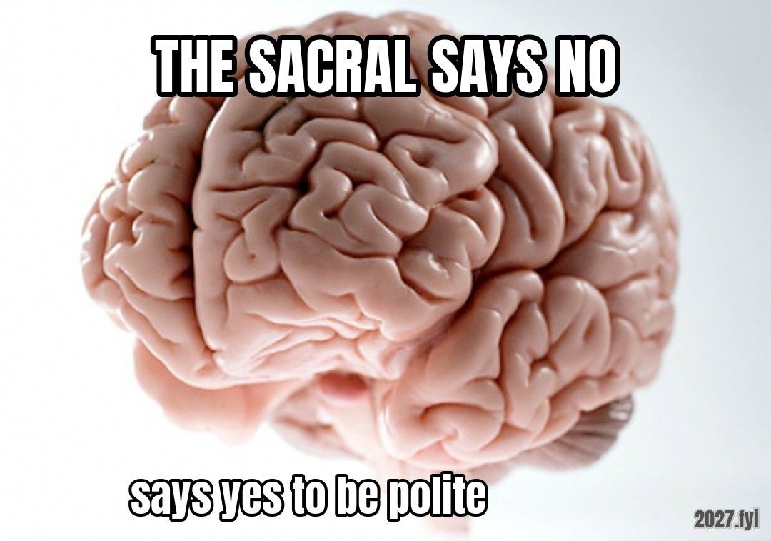 A brain with a cap. THE SACRAL SAYS NO / says yes to be polite