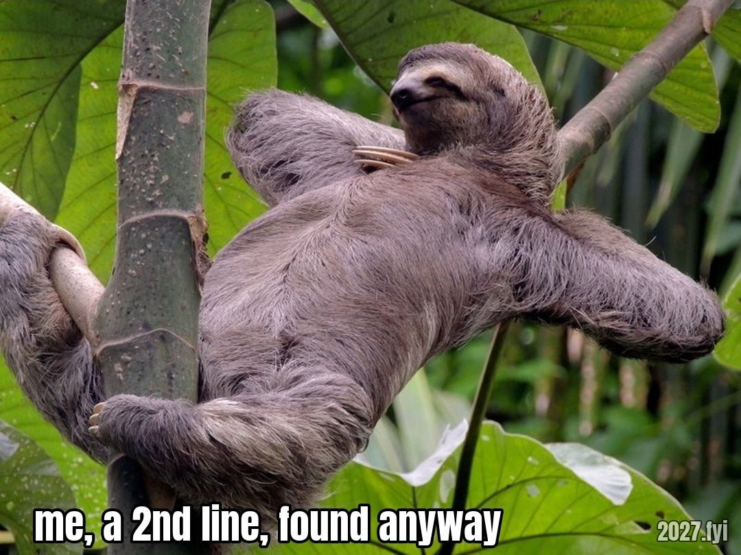 A sloth hanging relaxed from a tree branch among large green leaves. Quote above: "It's a line of the hermit in a passive environment. You know, people need to come to you." Label: me, a 2nd line, found anyway