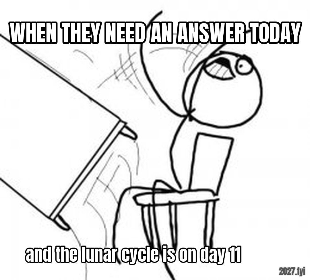 Table Flip Guy meme. WHEN THEY NEED AN ANSWER TODAY / and the lunar cycle is on day 11