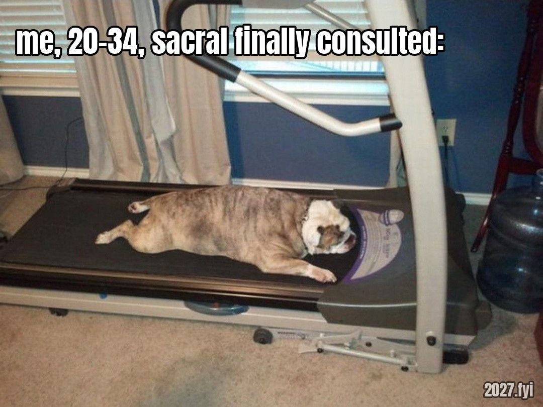 A bulldog lying flat on a treadmill, not moving. ra: "just keep running. running on the treadmill. running on the treadmill. running on the treadmill." / me, 20-34, sacral finally consulted: