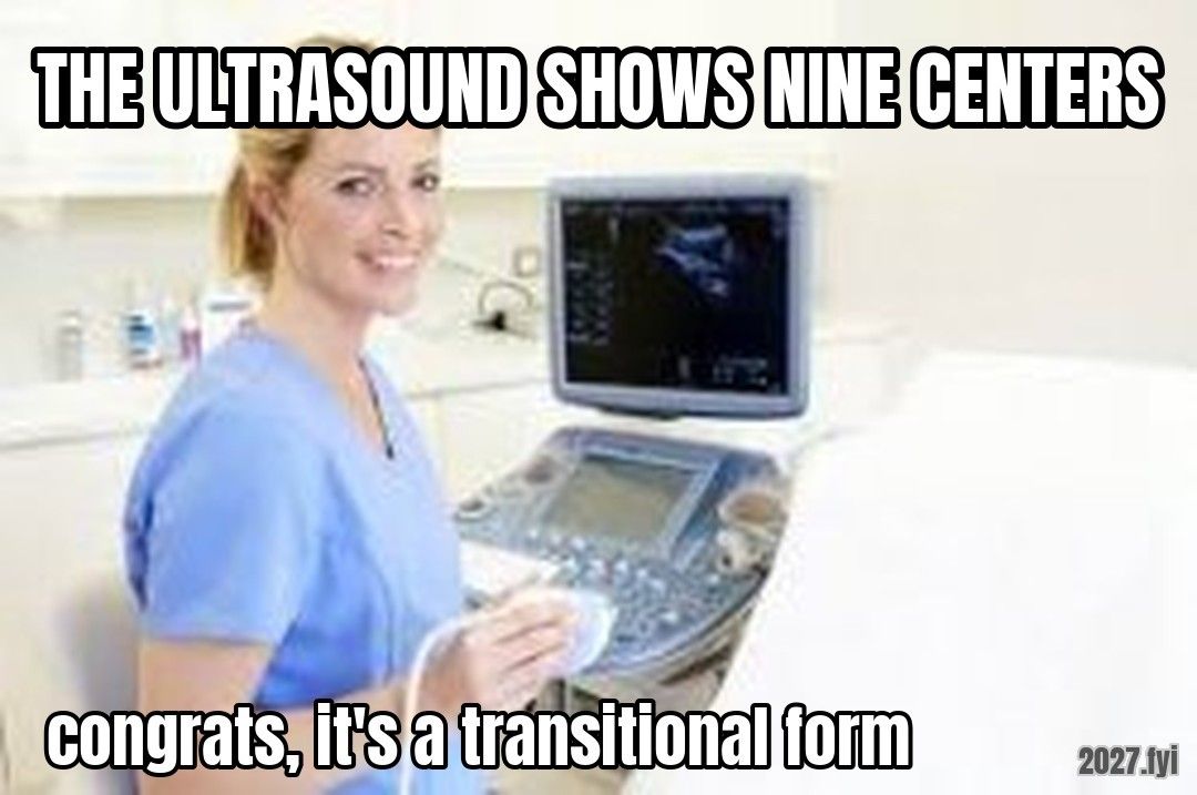 Ultrasound Technician meme. THE ULTRASOUND SHOWS NINE CENTERS / congrats, it's a transitional form